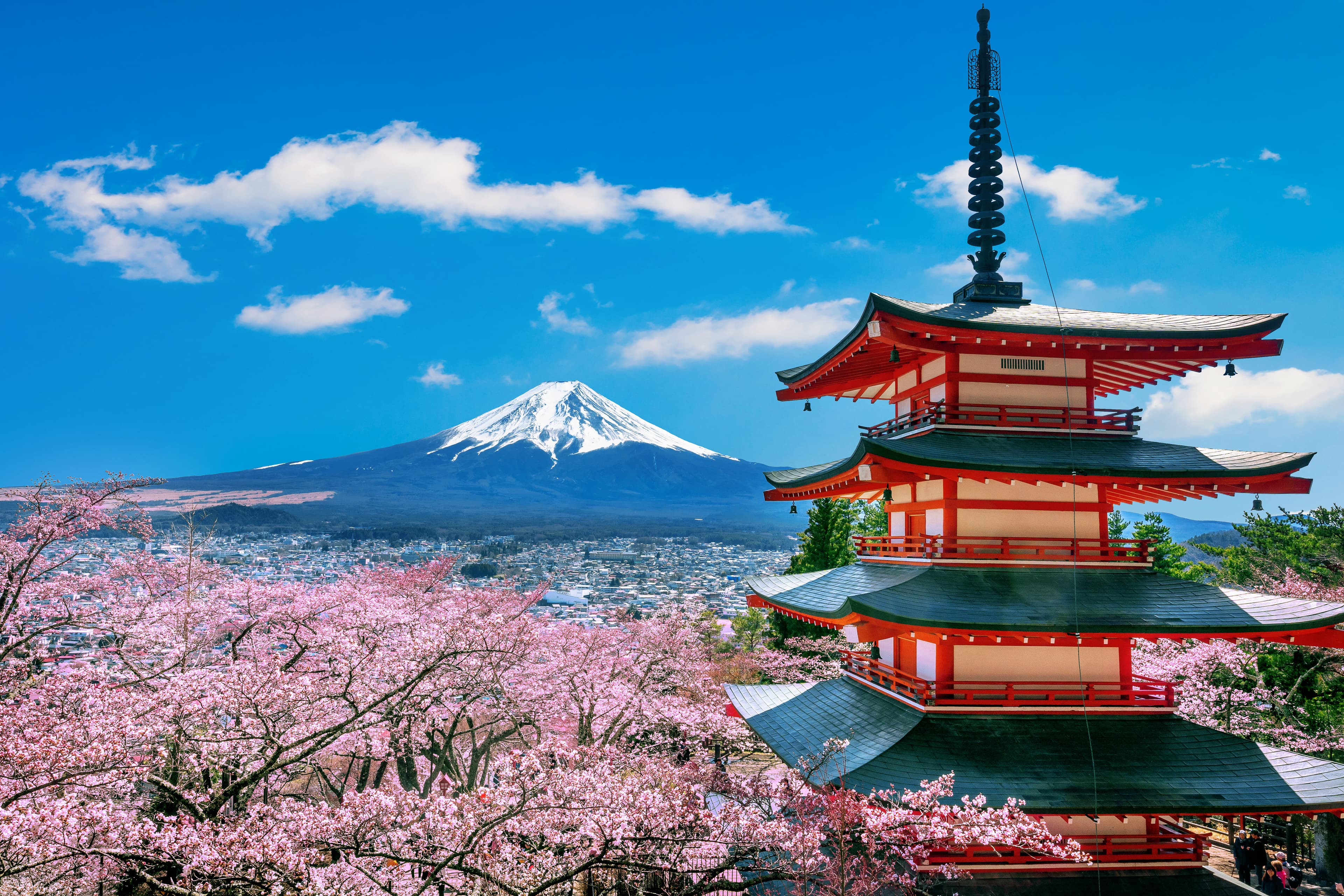 Monte Fuji & Kawaguchiko Tour