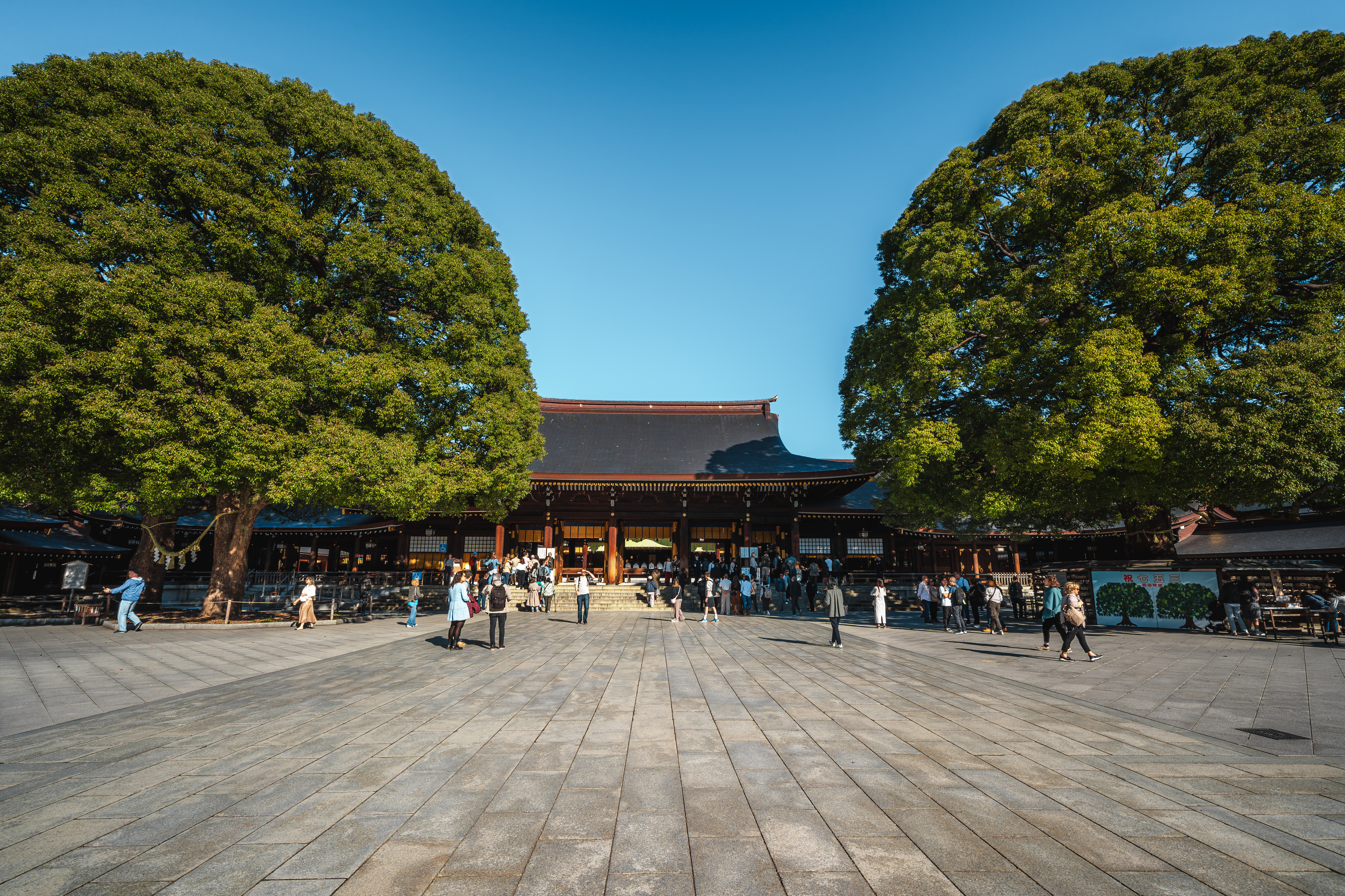Matcha Tour 3